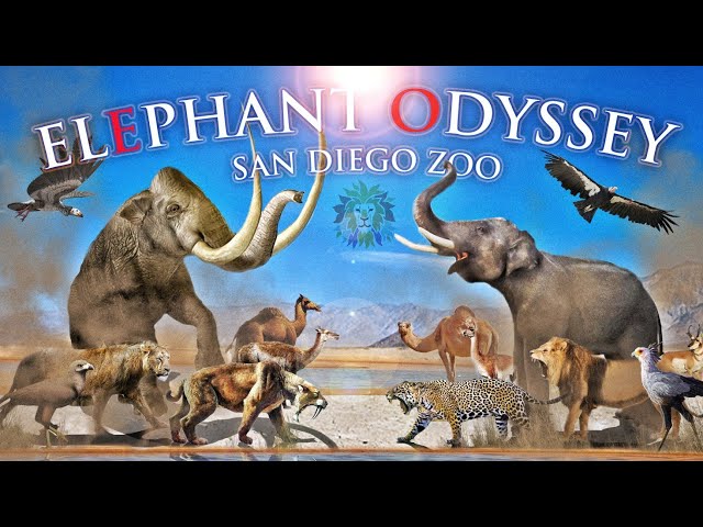 Zoo Tours: The Elephant Odyssey at the San Diego Zoo (2009)