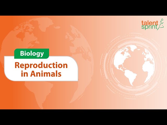 Reproduction in Animals | Biology | General Awareness | TalentSprint Aptitude Prep