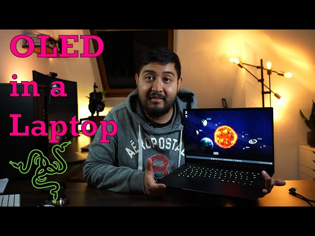 My experience with an OLED Laptop / Razer Blade 15 / After 6 months