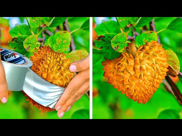25 Plant Growing Hacks You Should Try! Gardening Tips For Beginners By A PLUS SCHOOL