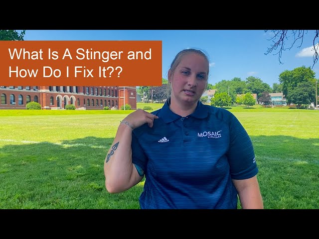 Stingers | What Is a Stinger | How to Treat a Stinger | Mosaic Life Care