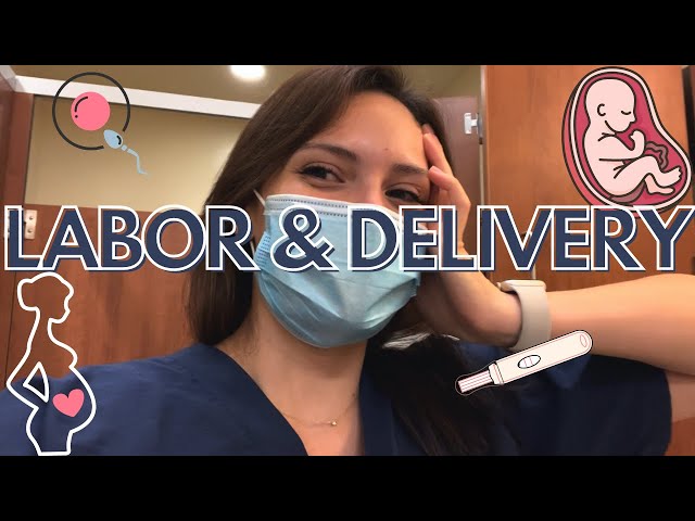27hrs on Labor & Delivery, my iPad, tips for success | Rachel Southard