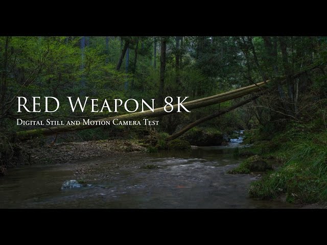 RED WEAPON 8K: Digital Still and Motion Camera Quick Test