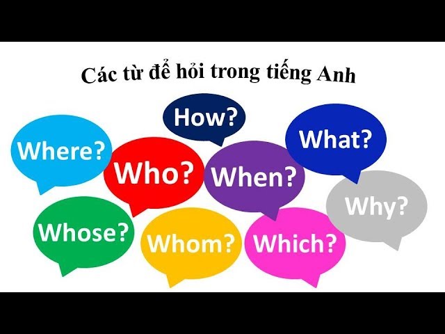 Các từ để hỏi trong tiếng anh Who, Whom, Whose, Where, When, Why, How, What, Which questions