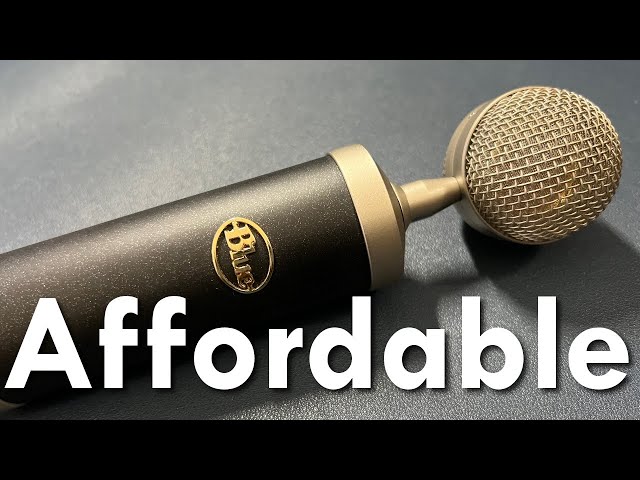 Affordable dark and warm condenser microphones. It's a short list.