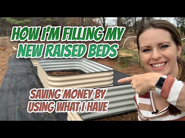 How to Fill Raised Beds by Using What You Have