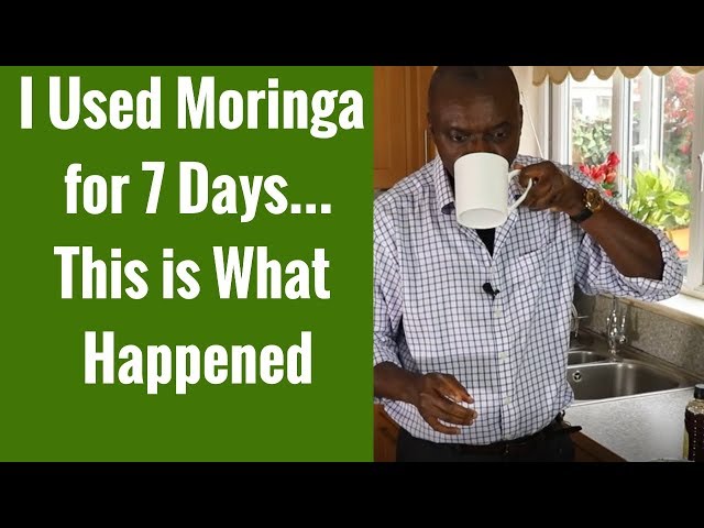 Moringa Review: I Used Moringa for 7 Days & This Is What Happened
