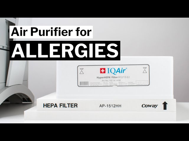 The Best Air Purifier for Allergies