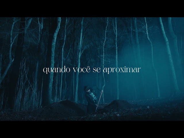 David Kushner - Skin and Bones (Portuguese Lyric Video)