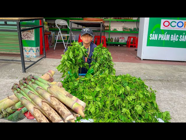 Orphan Boy - Harvesting Bamboo shoots and Wild Vegetables Selling, Moving to a new place #orphan
