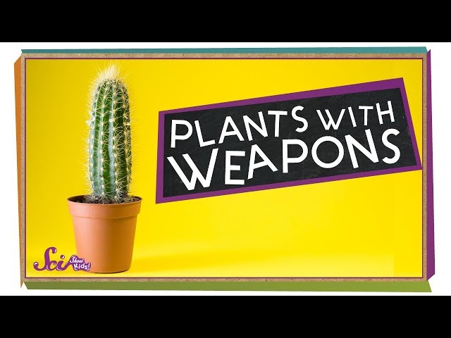 Plants with Weapons!