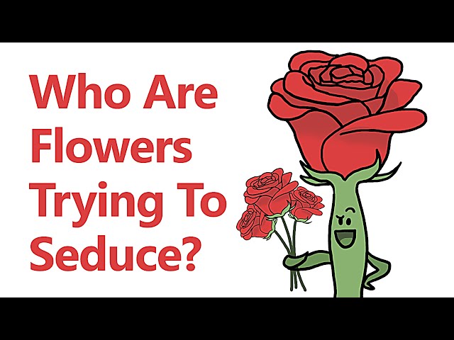 Who Are Flowers Trying To Seduce?