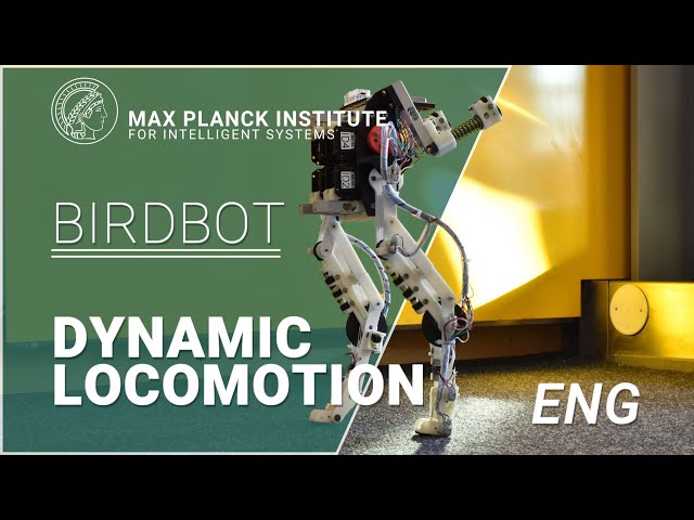 Meet BirdBot, an energy-efficient robot leg - research published in Science Robotics