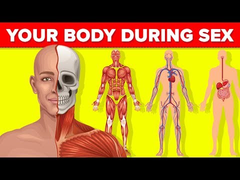What Happens to Your Body While You Are Having Sex?