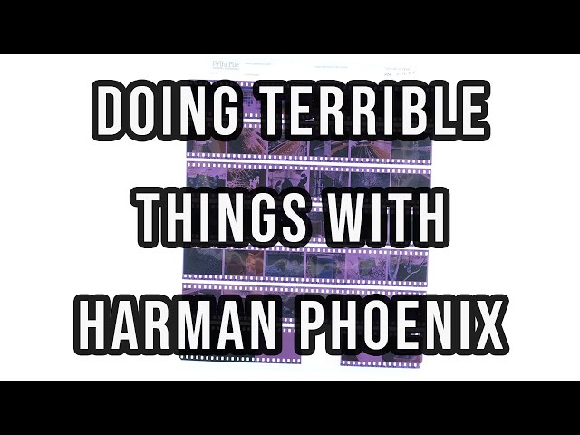 Harman Phoenix