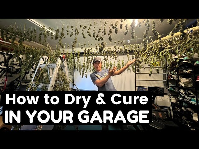 How to Dry & Cure Cannabis in Your Garage without a Drying Room