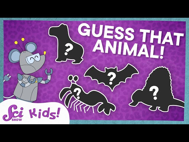 Can You Guess the Animal with Jessi and Mister Brown? | SciShow Kids Compilation