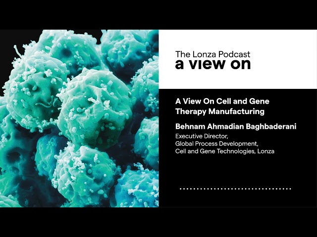 A View On Manufacturing Cell and Gene Therapies
