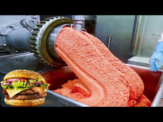 How Burgers Are Made in Factory | Amazing Burger Making Process