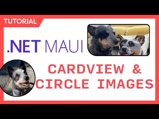 .NET MAUI CardViews & Circle Images with Borders, Shapes, and Shadows