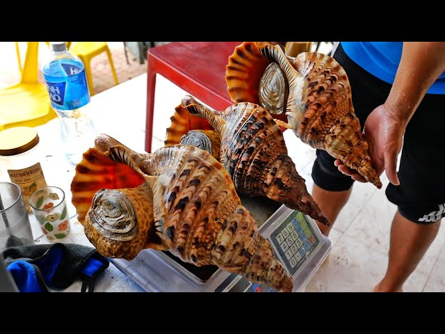 Vietnamese Street Food - GIANT ALIEN CONCH Cooked Two Ways Mui Ne Seafood Vietnam