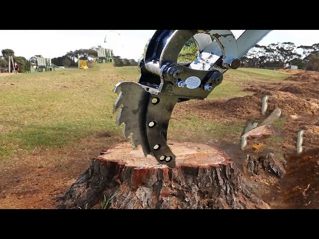 Dangerous Big Tree Stump Cutter Machines Working, Fastest Tree Harvester Removal Equipment