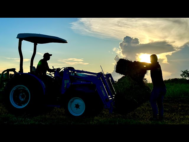 Farming in the Philippines: Bakit Mabagal ang Farm Mechanization?