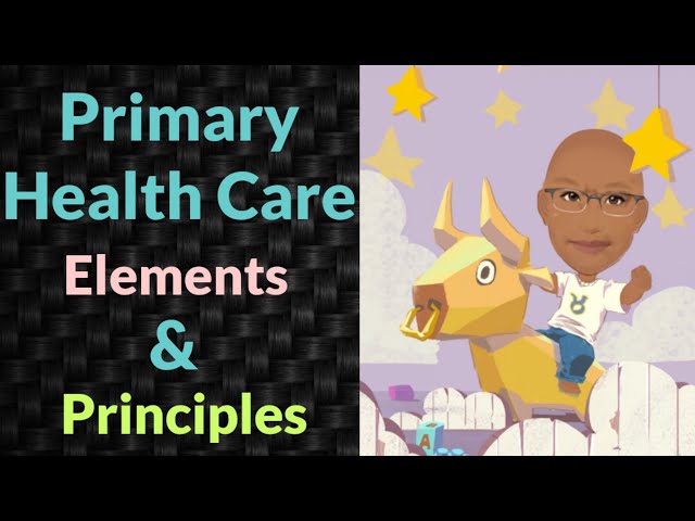 Primary Health Care (Element & Principle) |PSM lecture | Community Medicine lecture| PSM made easy