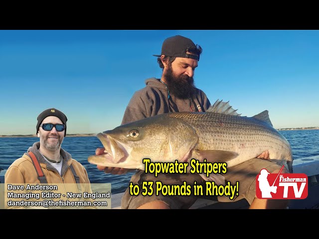 September 8, 2022  New England Video Fishing Forecast with Dave Anderson