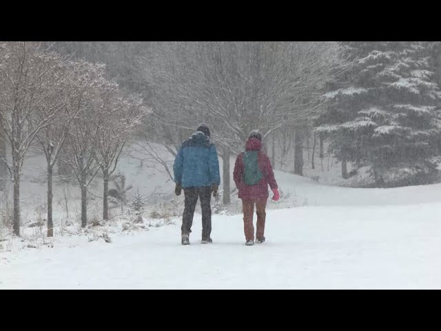 Winter storm warning: Nor'easter expected to hit Canada