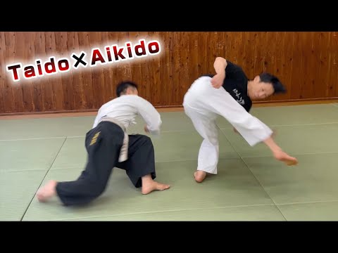合気道×躰道（Aikido × Taido）白川竜次×中野哲爾