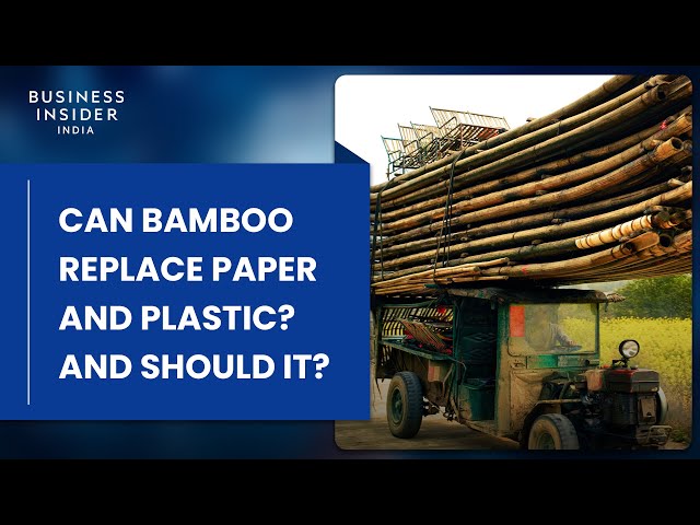 Can Bamboo Replace Paper And Plastic? And Should It?