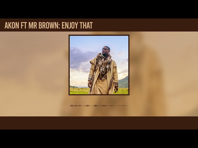 Akon - Enjoy That Remix (Official Audio) ft. Mr Brown