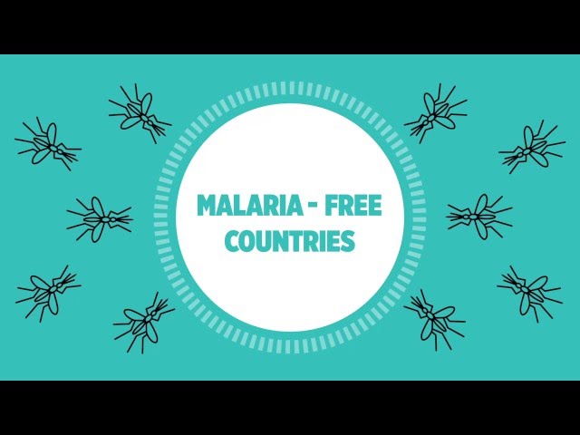 WHO: Global malaria progress and challenges in 2016