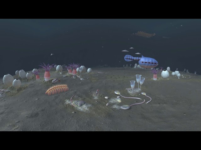 First Animals - Cambrian ocean 360 scene