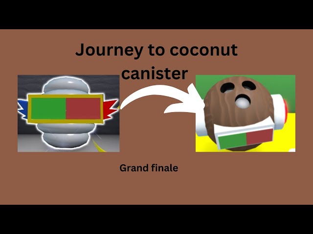 Journey to coconut canister (grand finale) | bee swarm simulator