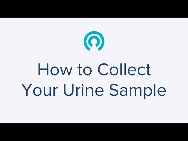How to Collect Your Urine Sample using Step-By-Step Instructions - LetsGetChecked Home Health Tests