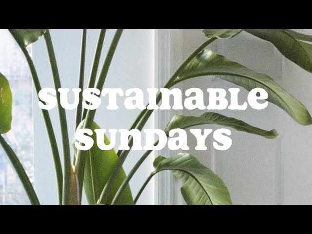 U CAN'T DO IT ALL - Sustainable Sundays ep. 1