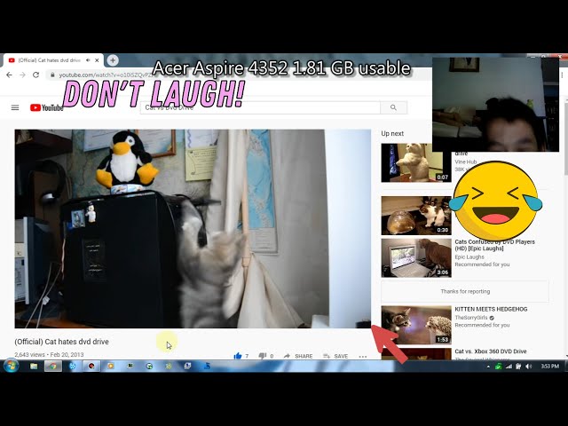 Funny Cat Try Not to Laugh Challenge (4.00 GB)