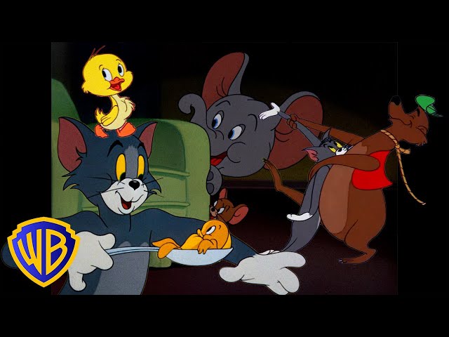 Tom und Jerry auf Deutsch 🇩🇪 | Alle Tiere in Tom & Jerry! 🐣🐭 | Monat der Tiere | @WBKidsDeutschland​