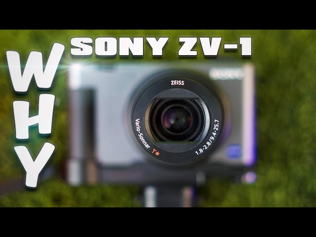 Is the SONY ZV1 Still WORTH IT in 2024? (Longterm Review!)