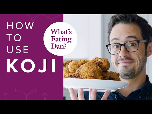 How to Use Koji | What's Eating Dan?