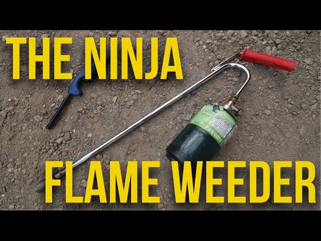IN FOCUS - The Ninja Flame Weeder