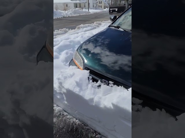 Snow Sucks! Car Dealership buried #shorts