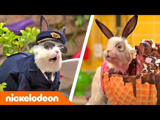 Grzmotomocni | Najlepsze momenty doktora Colosso! Część 2 | Nickelodeon Polska