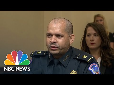 Officer Gonell Responds To Trump's Comments About Capitol Rioters
