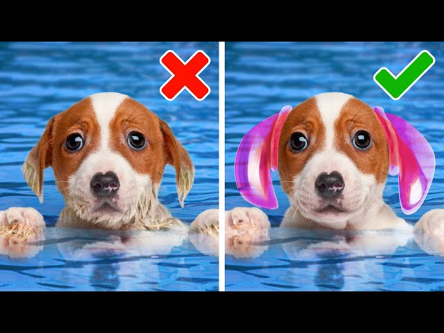 PERFECT PET GADGETS TO MAKE YOUR LIFE EASIER
