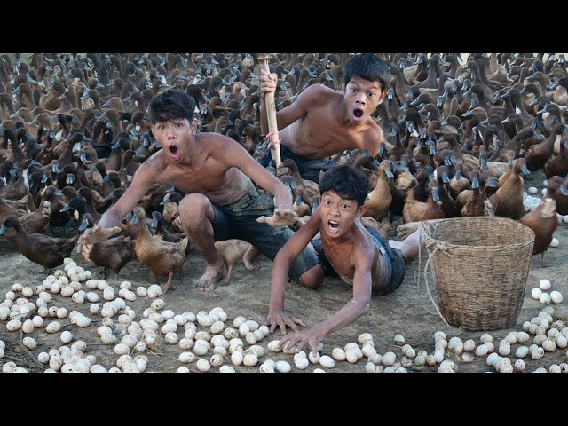 Primitive Technology - Find Food At Waterfall Meet Duck And Cooking Egg - Eating Delicious