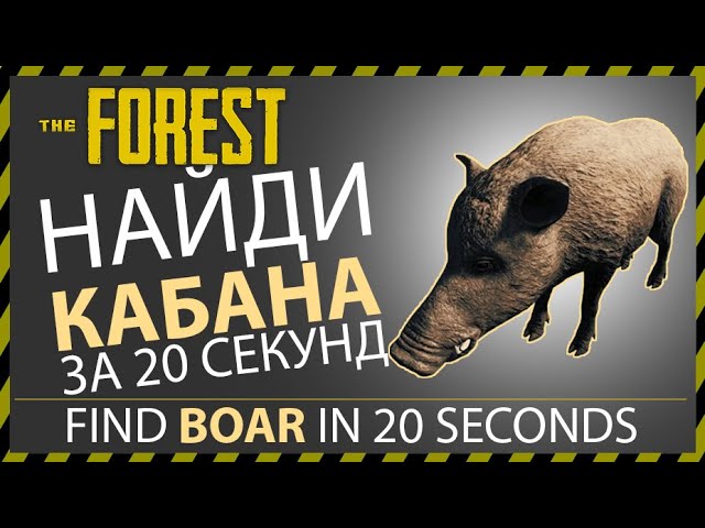 THE FOREST ГДЕ НАЙТИ КАБАНА