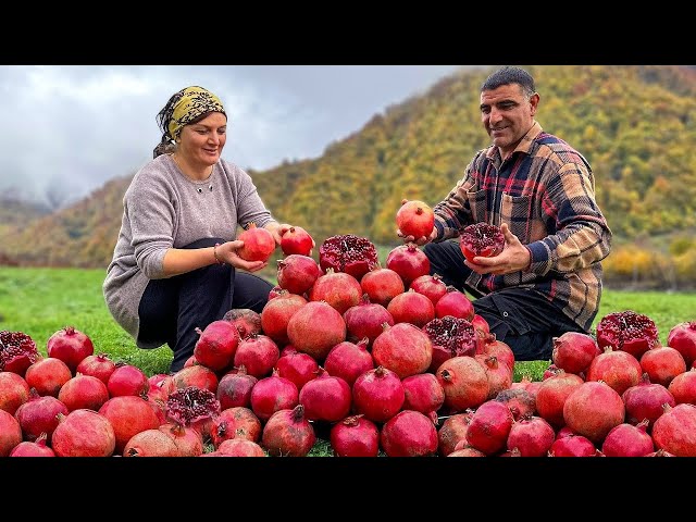 Real Life In An Azerbaijani Village! The Best Videos Of Life In The Village In 2023!